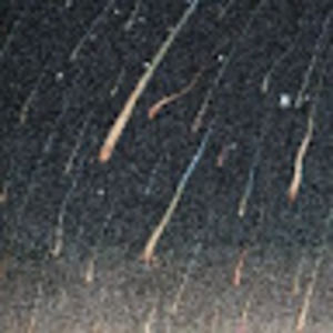 Meet your Posher, Dyllan jane